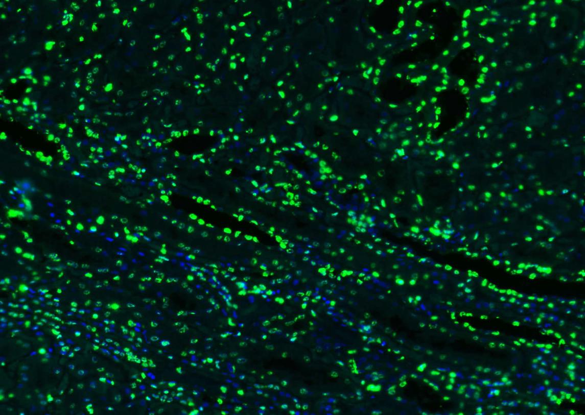 产品细节图片16