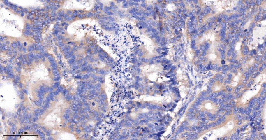 产品细节图片12