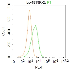 CD45 Rabbit pAb(bs-4819R)-50ul