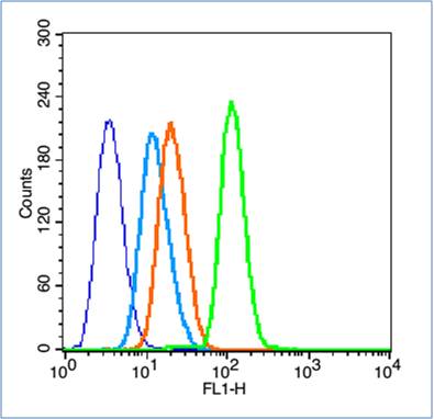 CD14 Rabbit pAb(bs-20796R)-50u