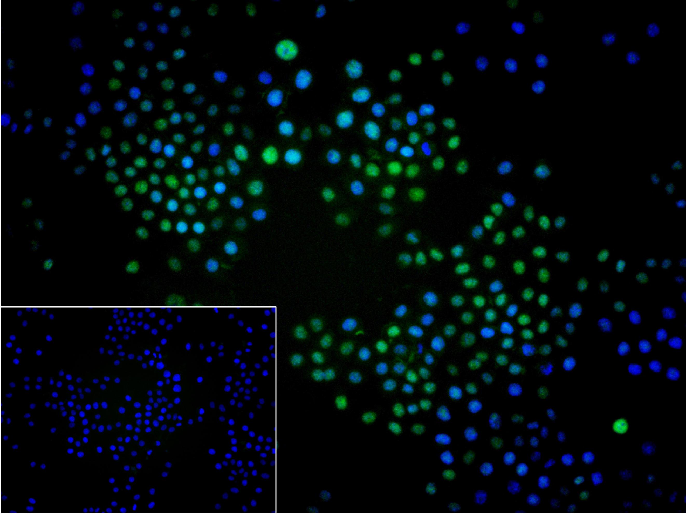 产品细节图片12