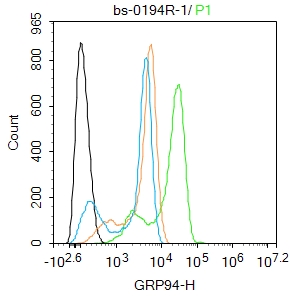 GRP94 Rabbit pAb(bs-0194R)-50u