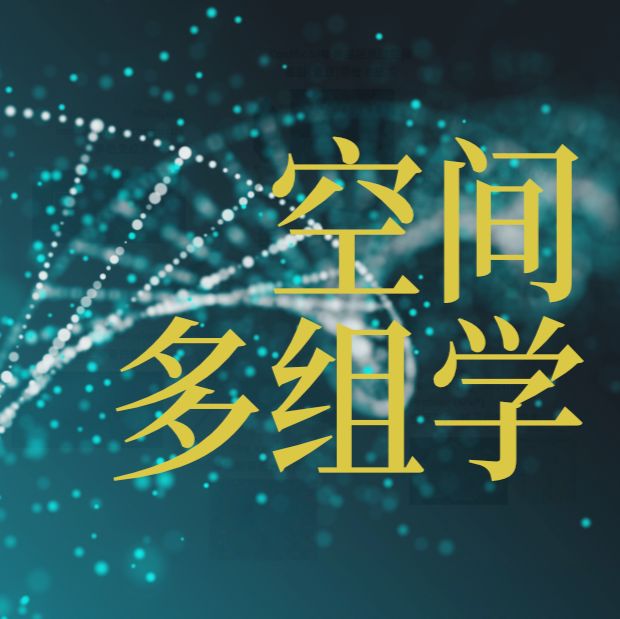 空间多组学—— 芯空一号——组织芯片/ 空间转录组测序/单细胞原位空间基因(蛋白)组检测技术/ 组织多色免疫荧光/ 单细胞原位空间蛋白组/ 空间蛋白转录组测序技术/单细胞原位分析技术