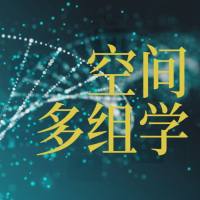 空间多组学—— 芯空一号——组织芯片/ 空间转录组测序/单细胞原位空间基因(蛋白)组检测技术/ 组织多色免疫荧光/ 单细胞原位空间蛋白组/ 空间蛋白转录组测序技术/单细胞原位分析技术