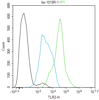 TLR2 Rabbit pAb(bs-1019R)-50ul