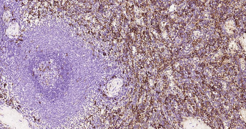 产品细节图片10