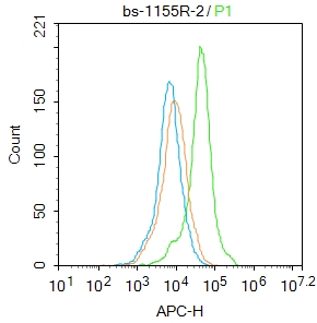 ASCL1 Rabbit pAb(bs-1155R)-50u