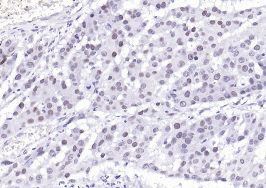 产品细节图片10