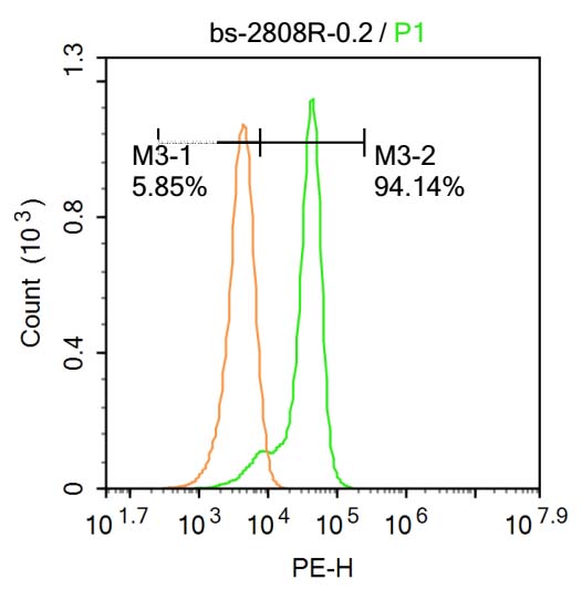 Jak3 Rabbit pAb(bs-2808R)-50ul