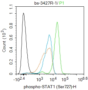 phospho-STAT1 (Ser727) Rabbit 