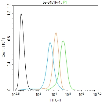 phospho-TOP2A (Ser1106) Rabbit