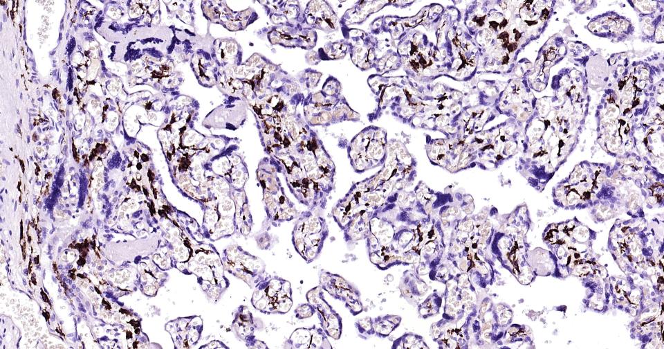产品细节图片12