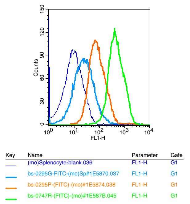 RANKL/CD254 Rabbit pAb(bs-0747