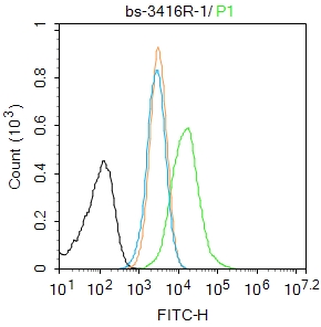phospho-SirT1 (Ser27) Rabbit p