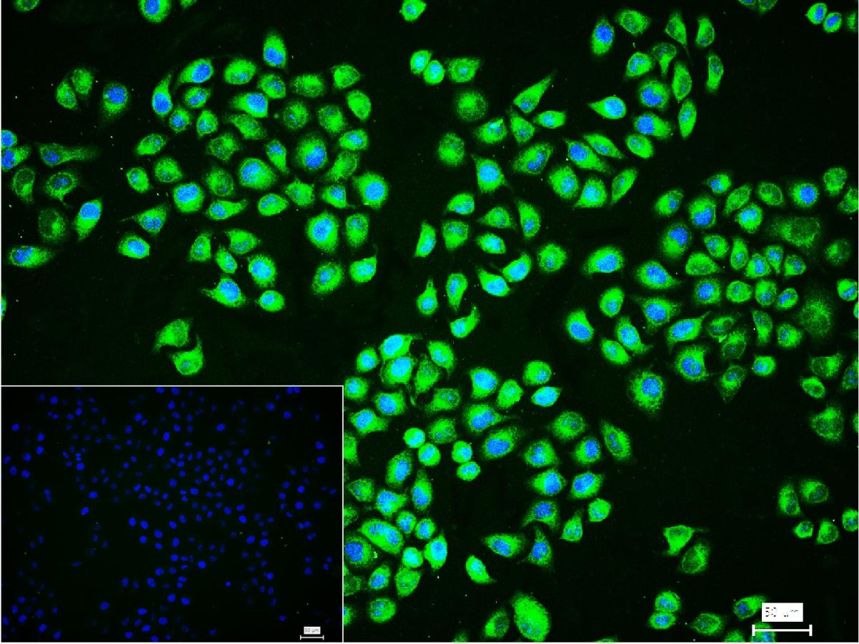 产品细节图片12