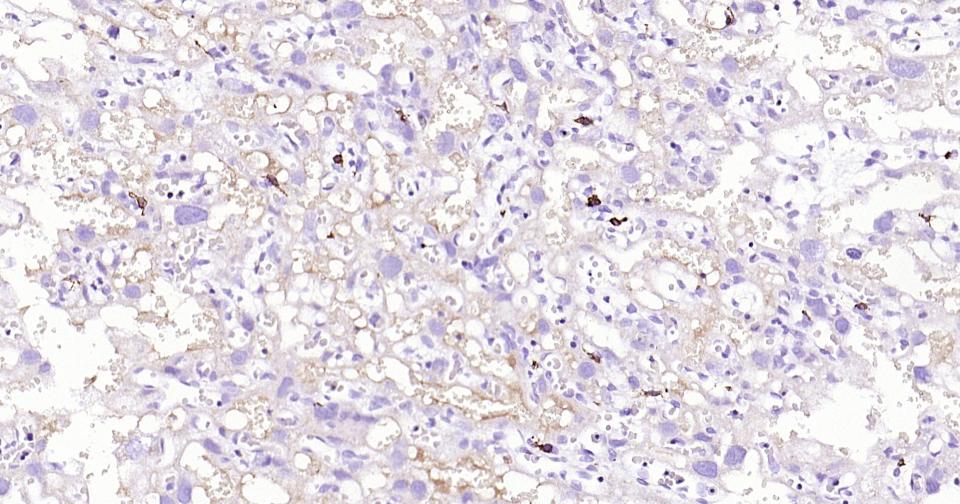 产品细节图片11