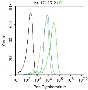 Pan Cytokeratin Rabbit pAb(bs-