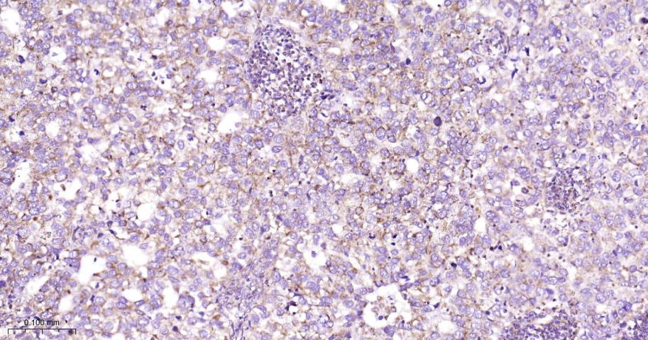 产品细节图片16