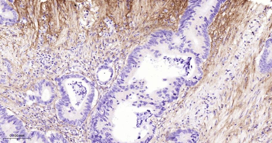 产品细节图片12
