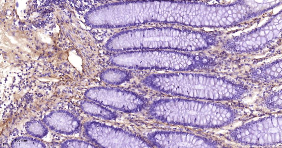 产品细节图片10