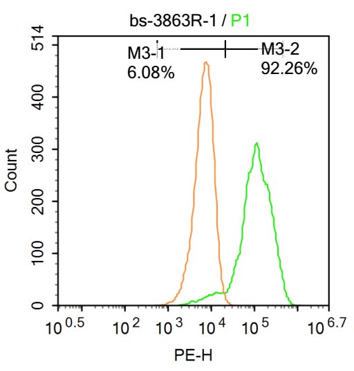 RORC Rabbit pAb(bs-3863R)-50ul