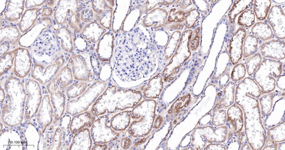 产品细节图片11