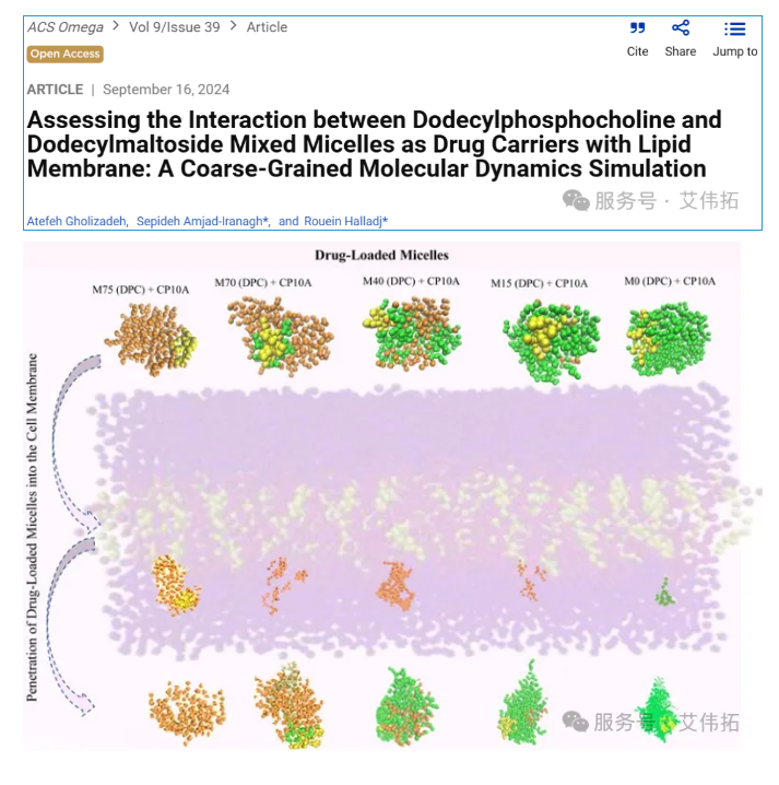 聚焦鼻喷制剂用辅料DPC 和 DDM：对药物载体的强效赋能