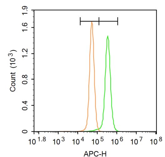 GRP94 Rabbit pAb(bs-0194R)-50u
