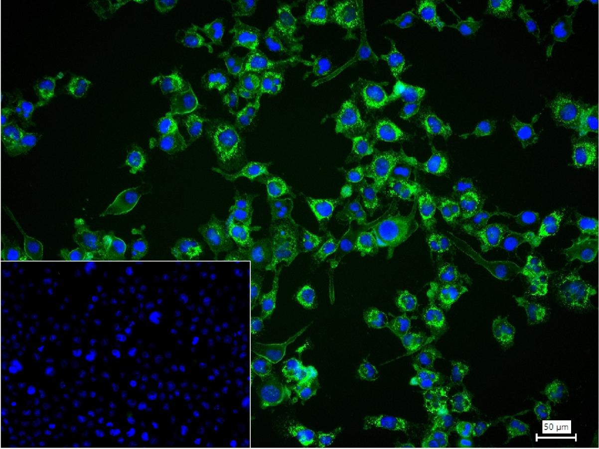 产品细节图片16