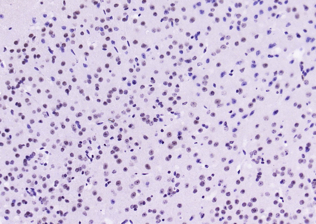 产品细节图片11