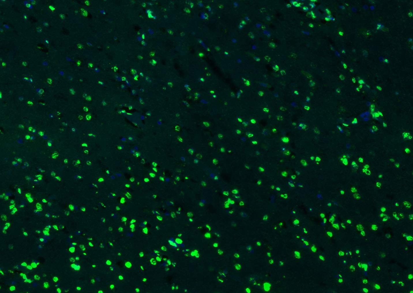 产品细节图片24