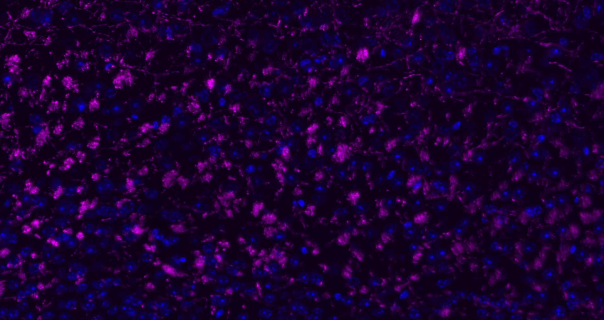 产品细节图片10