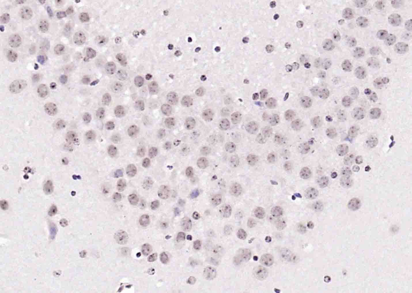 产品细节图片14