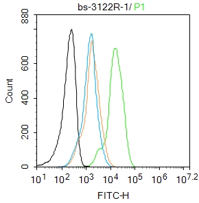 phospho-Cyclin B1 (Ser147) Rab