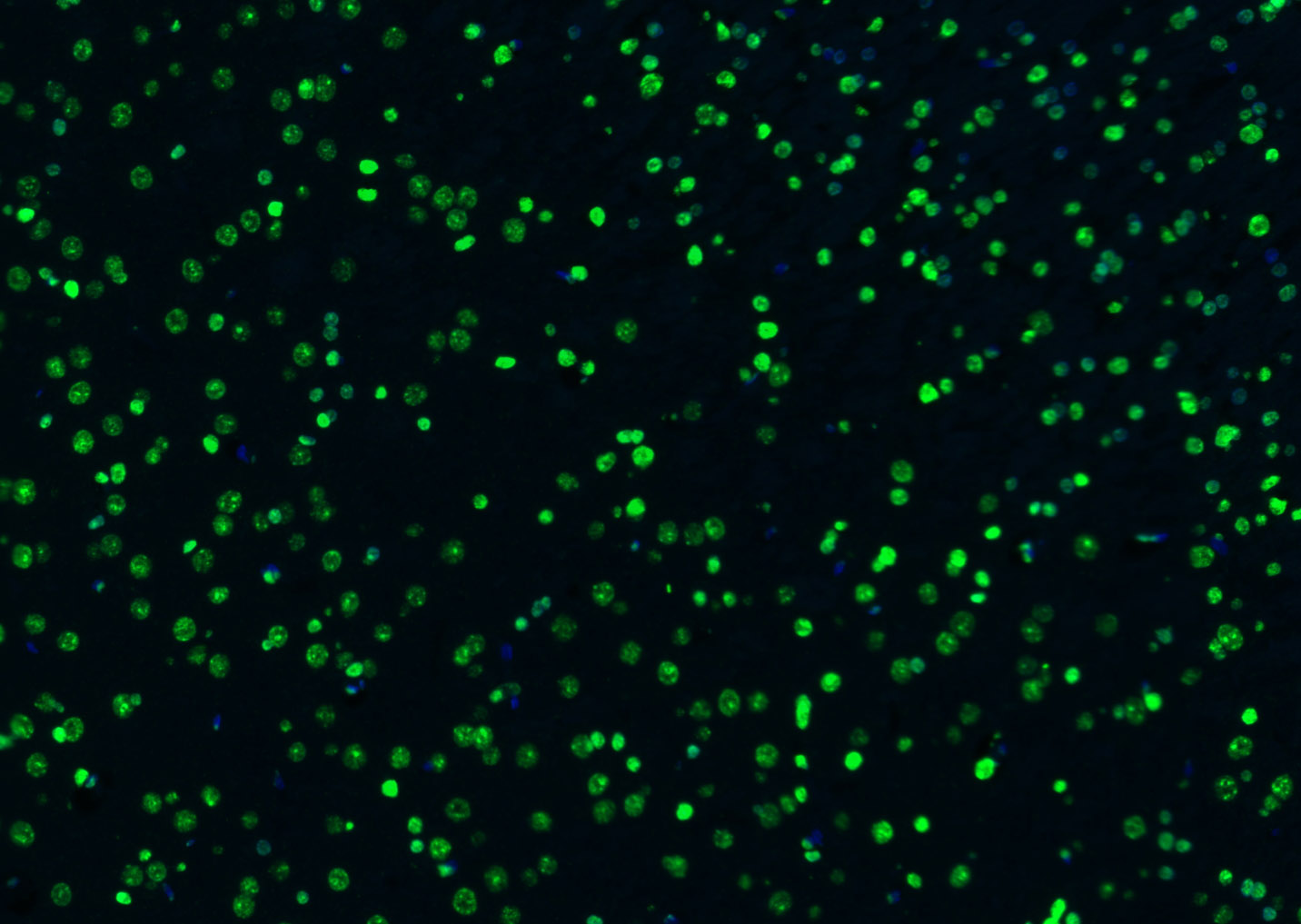 产品细节图片20