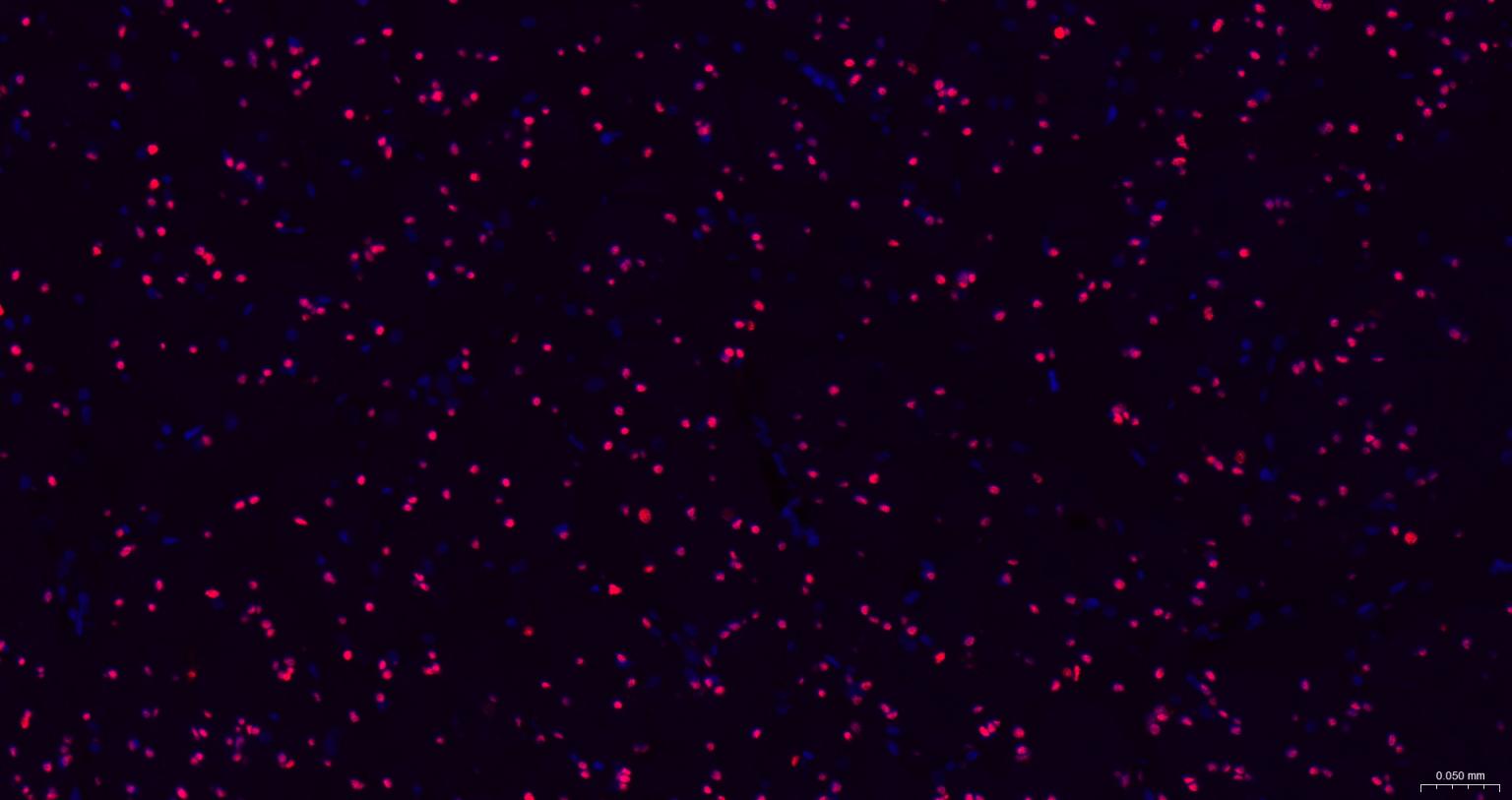 产品细节图片10