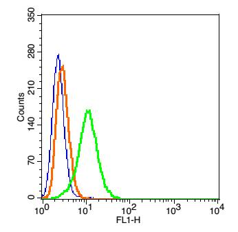 Tap1 Rabbit pAb(bs-2789R)-50ul