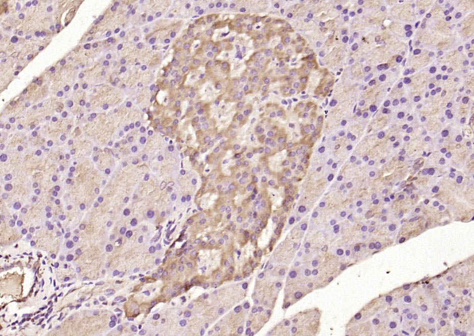 产品细节图片14