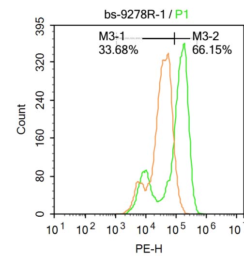phospho-IRF3 (Ser386) Rabbit p
