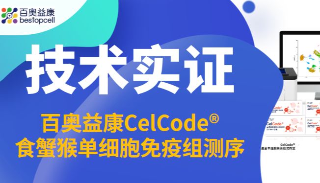技术实证 | 百奥益康CelCode®食蟹猴单细胞TCR/BCR测序赋能非人灵长类免疫研究新突破