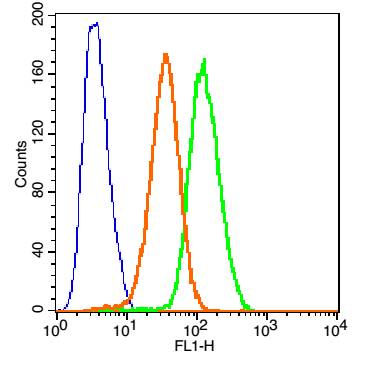 TNFR1 Rabbit pAb(bs-2941R)-50u