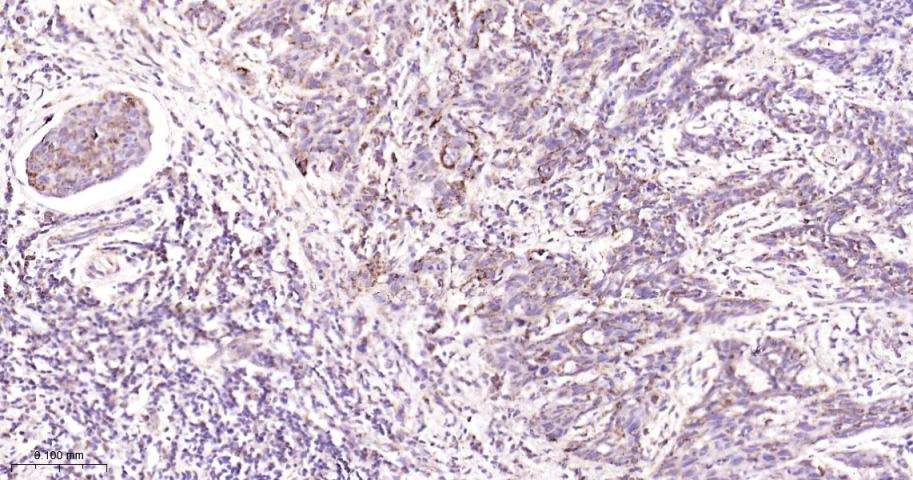 产品细节图片14