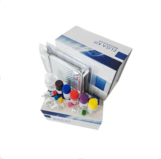 大鼠基质金属蛋白酶-9(MMP-9)Elisa试剂盒现货出售