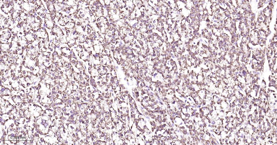 产品细节图片13