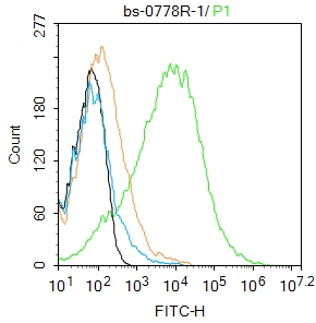 CD90/Thy-1 Rabbit pAb(bs-0778R