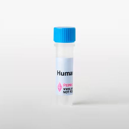 人 IFN-gamma 重组蛋白, PeproTech®