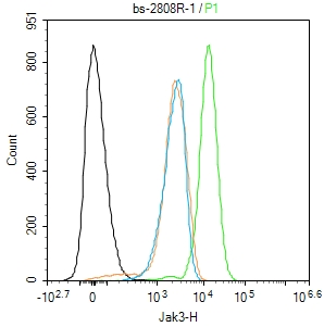 Jak3 Rabbit pAb(bs-2808R)-50ul