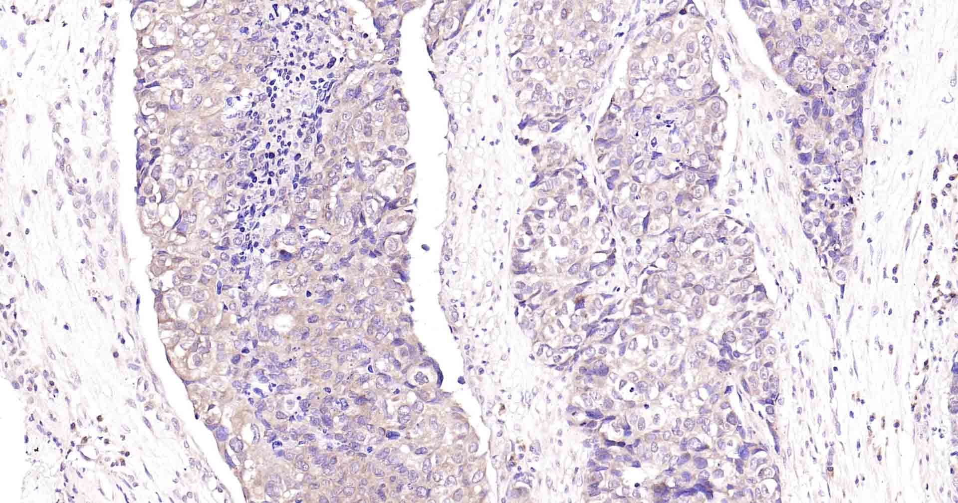 产品细节图片10