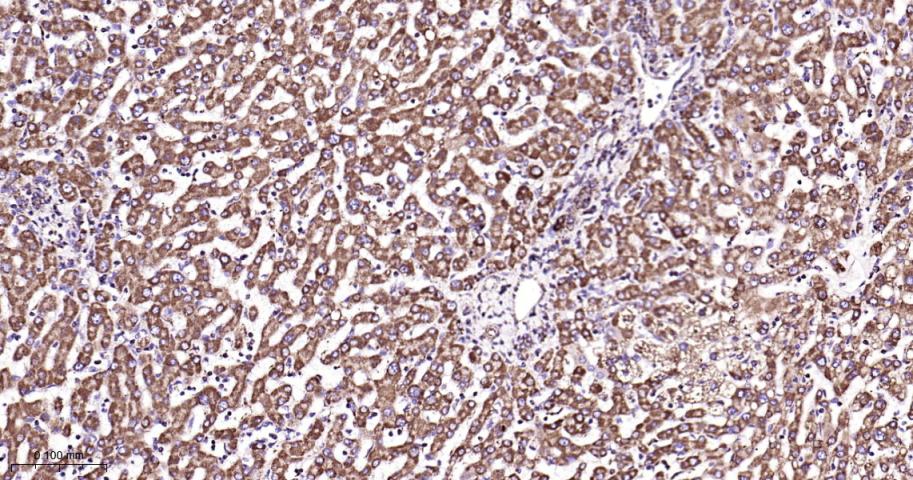 产品细节图片12