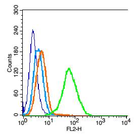 PARK7/DJ1 Rabbit pAb(bs-1306R)